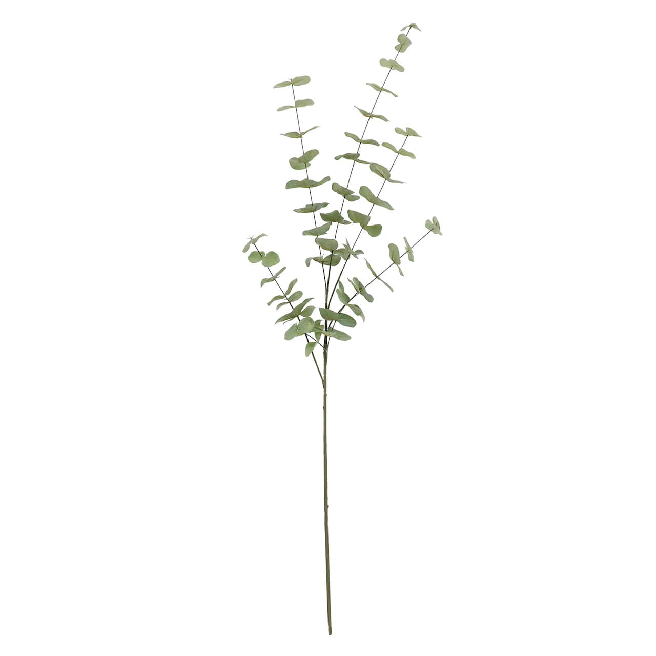 Tall Dusty Green Eucalyptus Stem by Ashland®